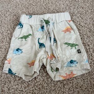 Dinosaur Kid Shorts